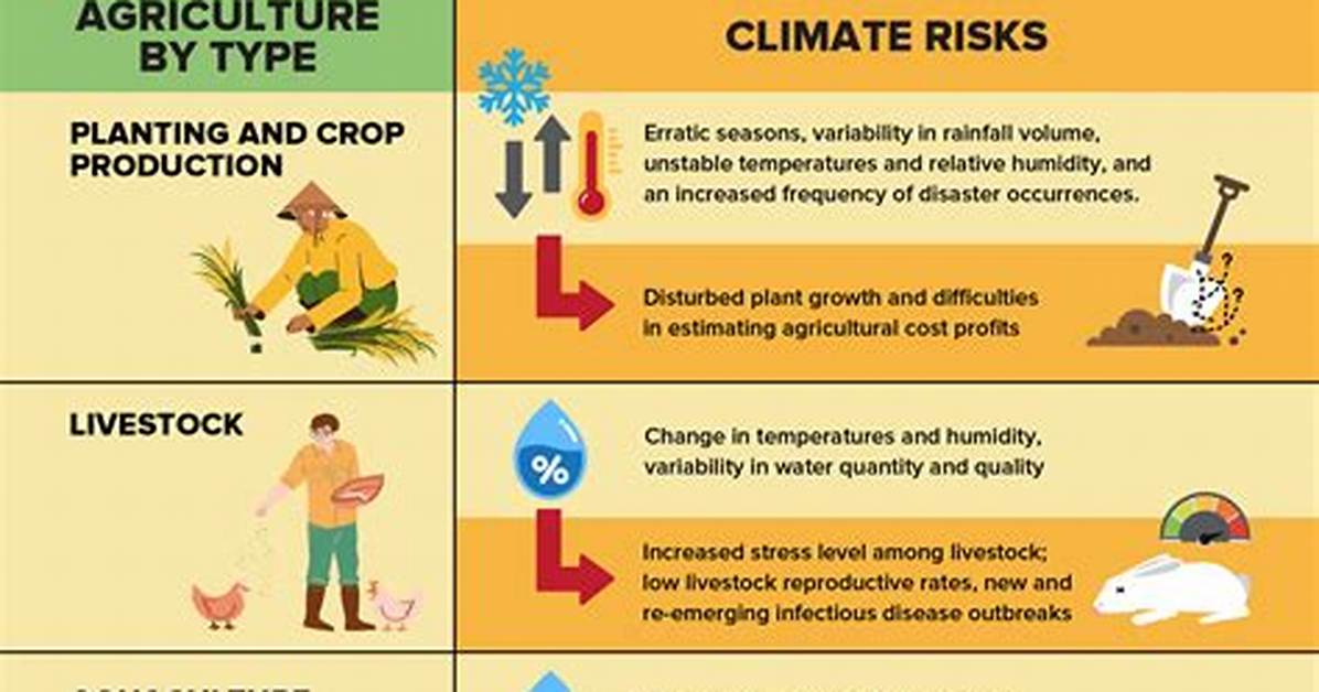 How Does Lumbering Affect Climate?
