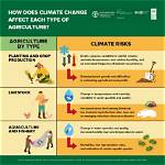 How Does Lumbering Affect Climate?