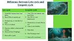How Does Lysogeny Differ from the Lytic Cycle?