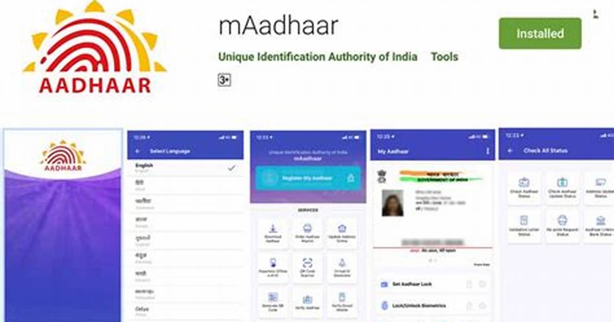 How Does Maadhaar Work?
