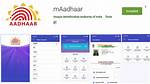 How Does Maadhaar Work?