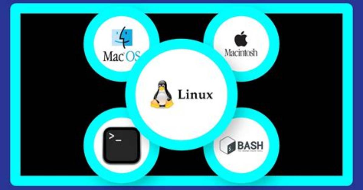 How Does Mac's Command Line Compare to Linux?