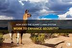 How Does Mail Guard Work?