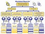 How Does Mandated Reporting Work?