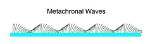 How Does Metachronal Waves Work?