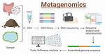 How Does Metagenomics Work?