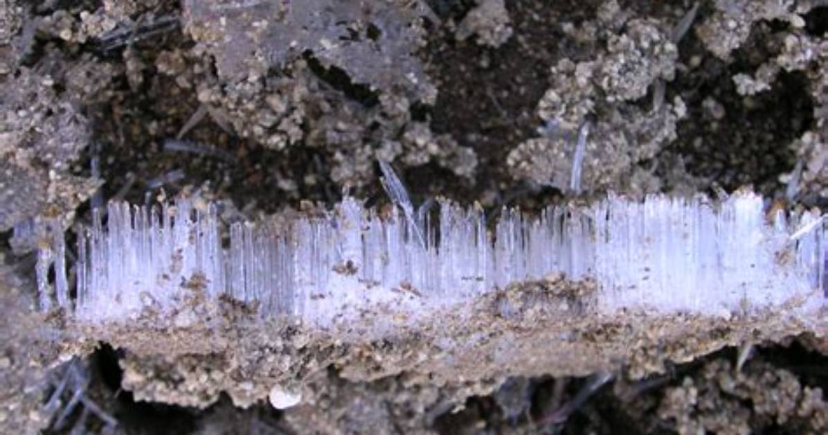 How Does Needle Ice Form?