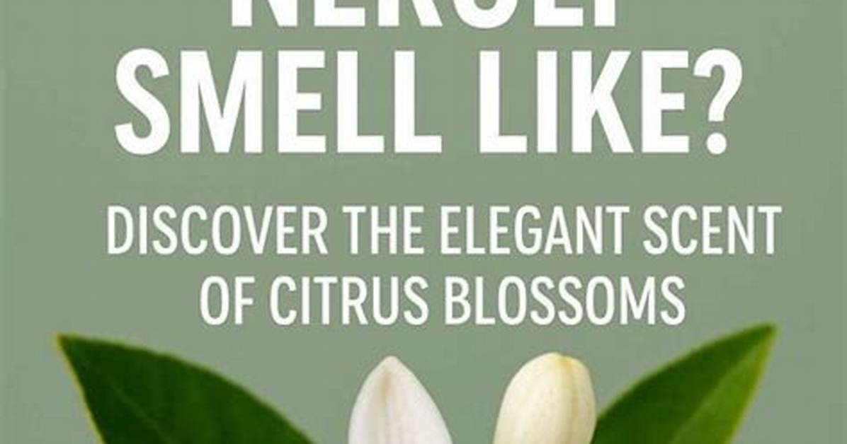 How Does Neroli Work?