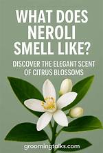 How Does Neroli Work?