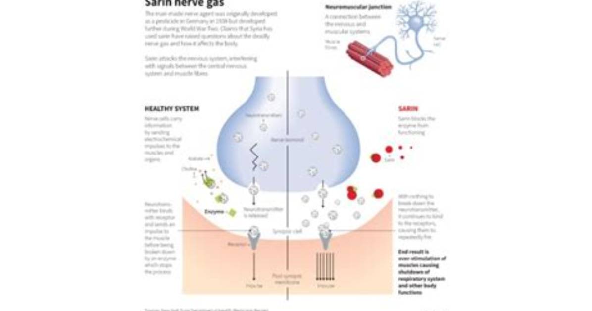 How Does Nerve Gas Kill