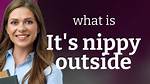 How Does Nippy Work?