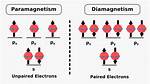 How Does Paramagnetism Affect Nmr?