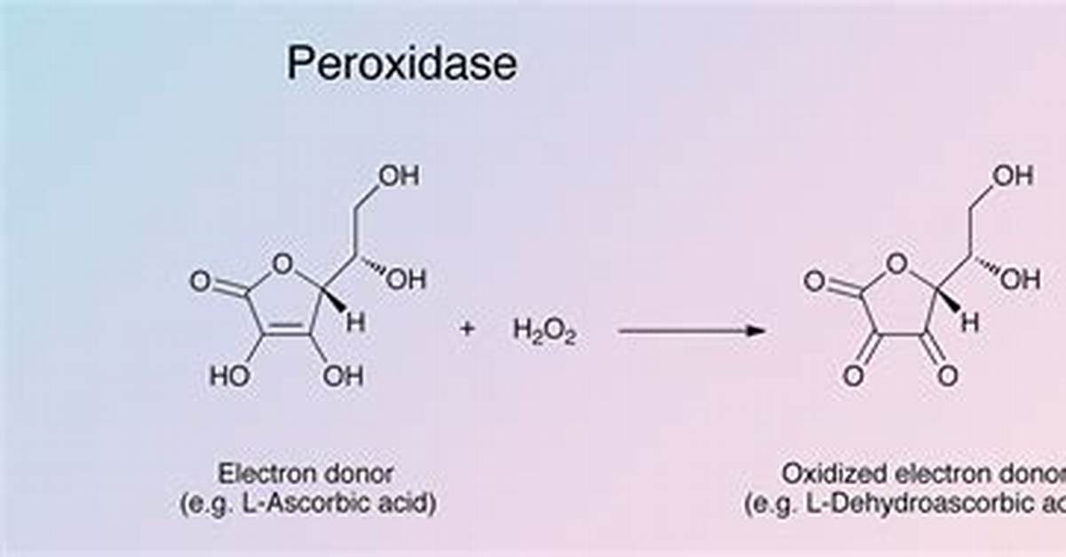 How Does Peroxidase Staining Work?