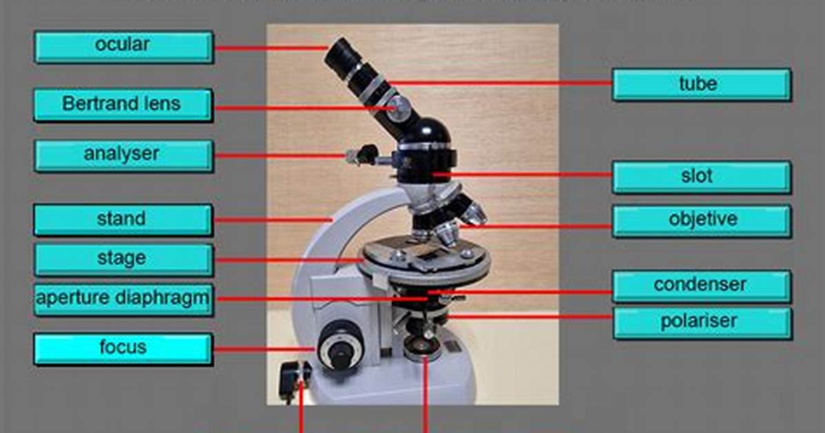 How Does Petrographic Microscope Work?