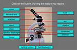 How Does Petrographic Microscope Work?