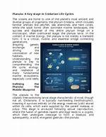 How Does Planula Work?
