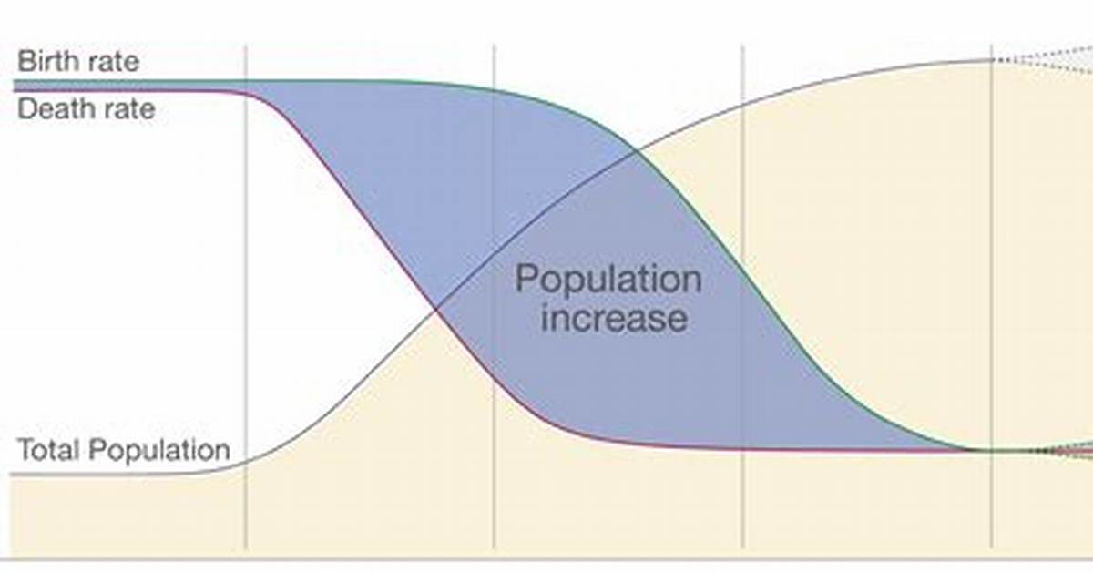 How Does Population Work?