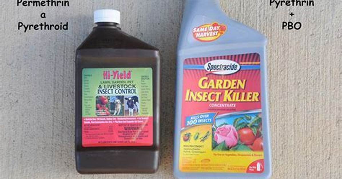 How Does Pyrethrin Kill Insects?