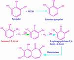 How Does Pyrogallol Work?