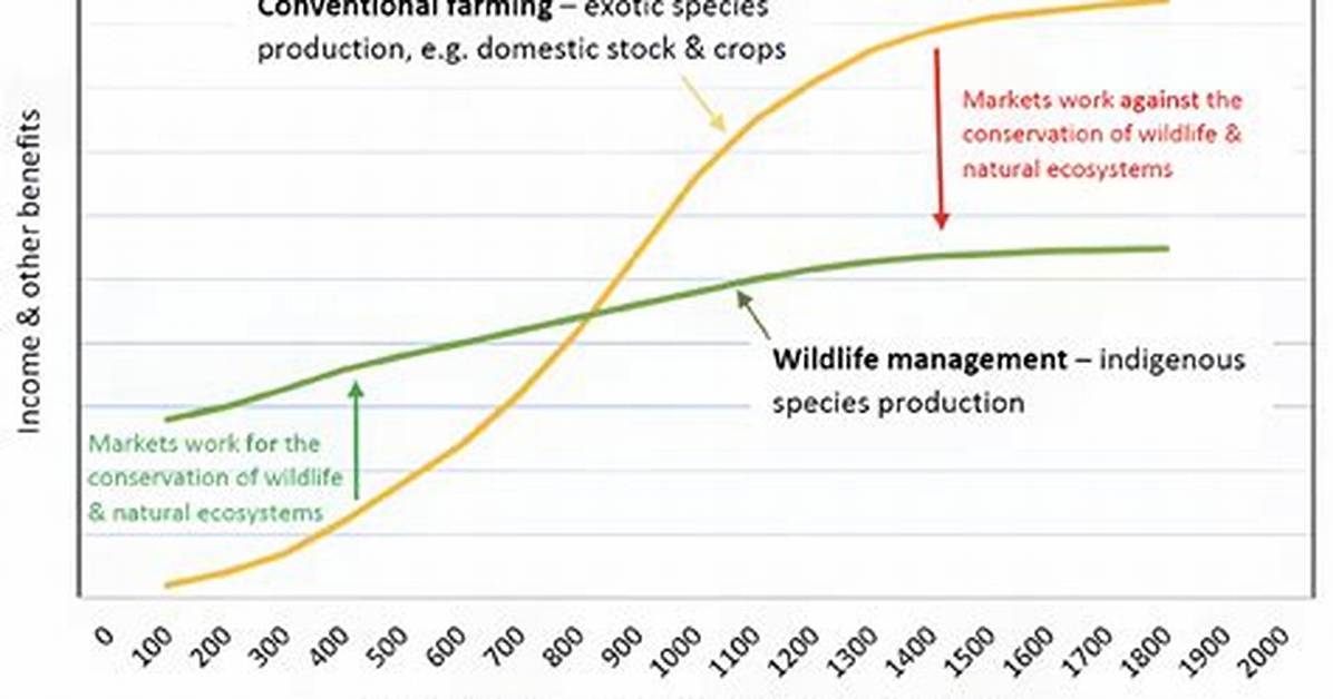 How Does Ranching Affect Organisms?