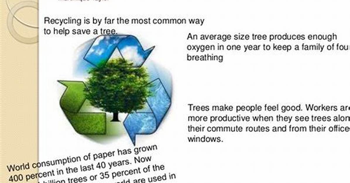 How Does Recycling Help Save Trees?