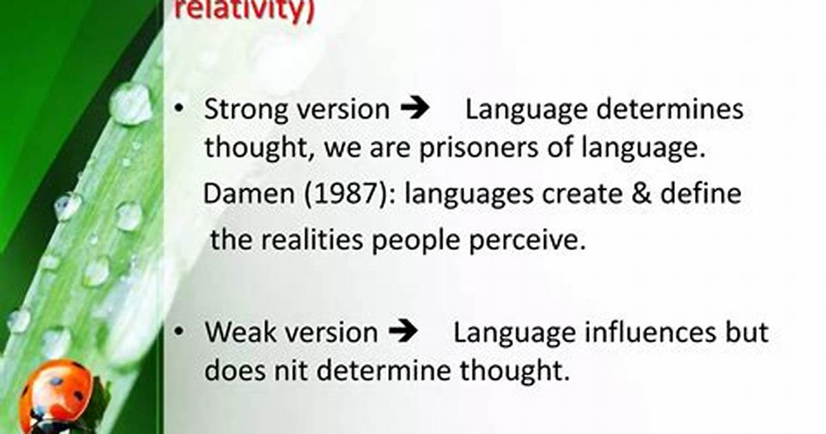 How Does Sapir Define Language?
