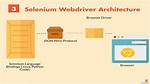 How Does Selenium Work?