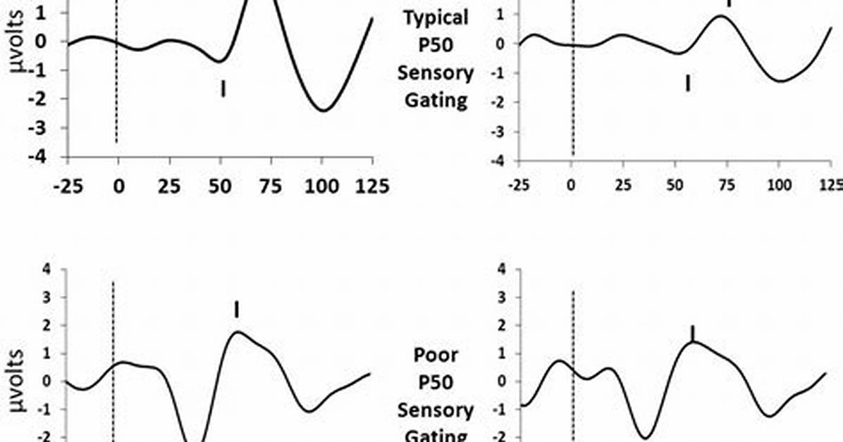 How Does Sensory Gating Work?