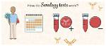 How Does Serological Test Work?