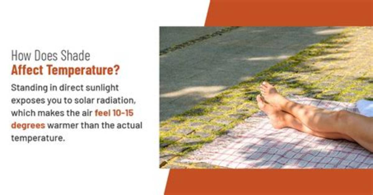 How Does Shade Affect Temperature?