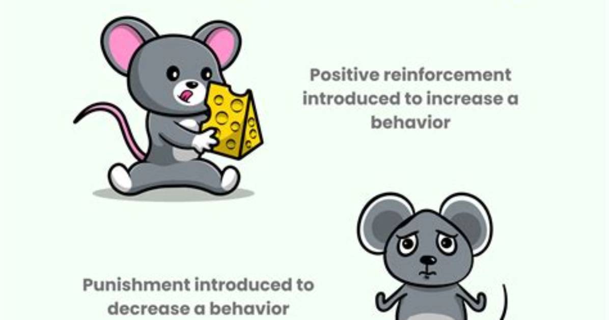 How Does Skinner Define Behaviorism