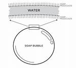 How Does Soap Bubbles Form?