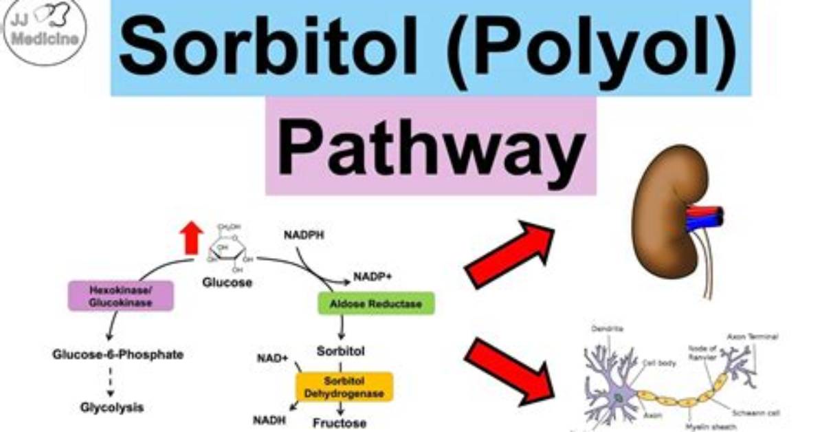 How Does Sorbitol Work?