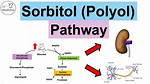 How Does Sorbitol Work?