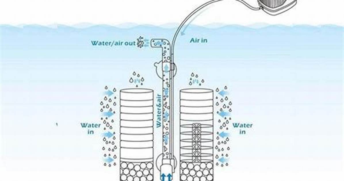 How Does Sponge Diving Work?
