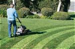 How Does Striping Grass Work?