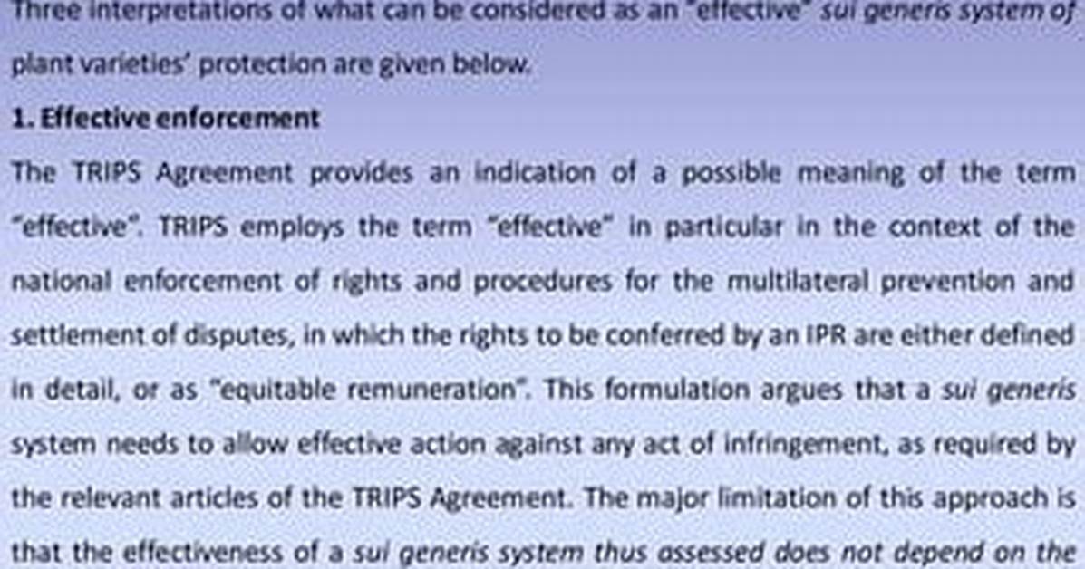How Does Sui Generis Work?