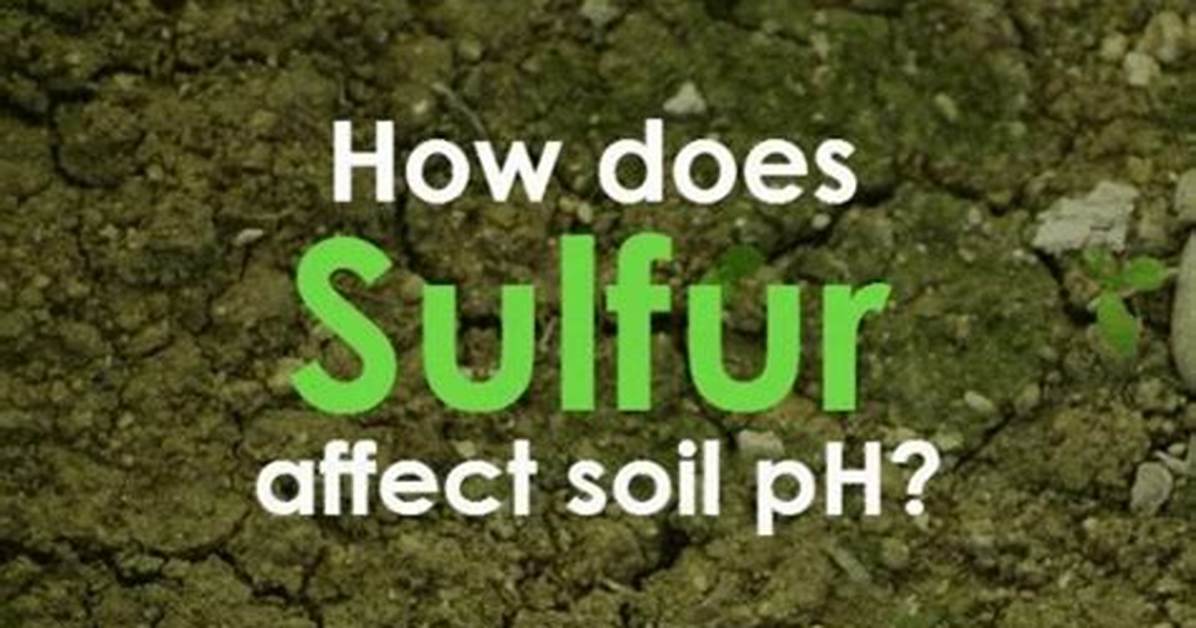 How Does Sulfur Affect pH