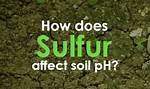 How Does Sulfur Affect pH