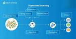 How Does Supervised Machine Learning Work?