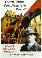 How Does Syndicalism Work?