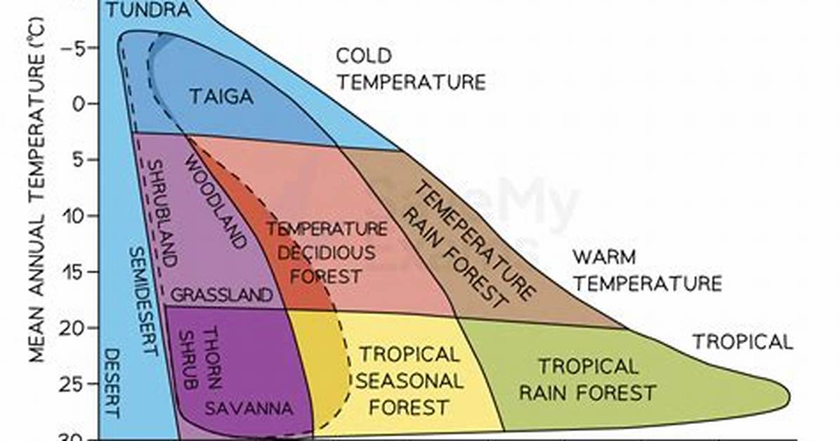 How Does Temperature Affect a Biome