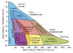 How Does Temperature Affect a Biome