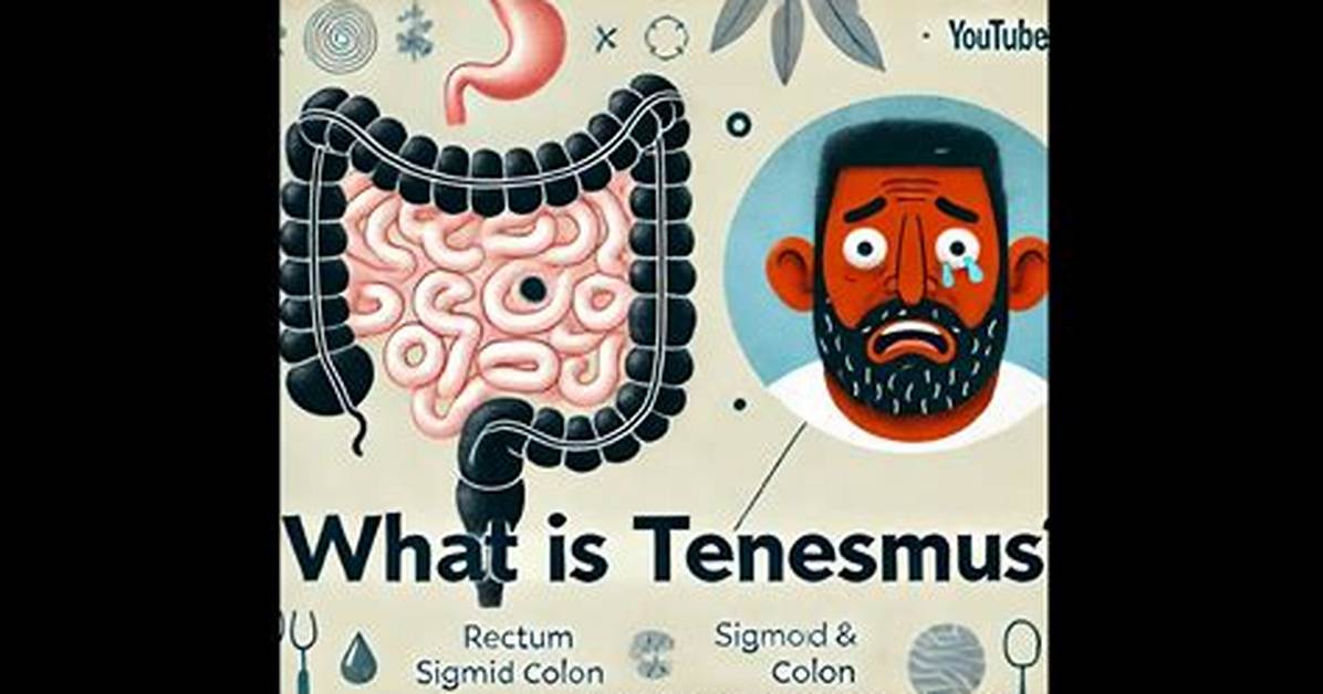How Does Tenesmus Work?