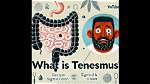 How Does Tenesmus Work?