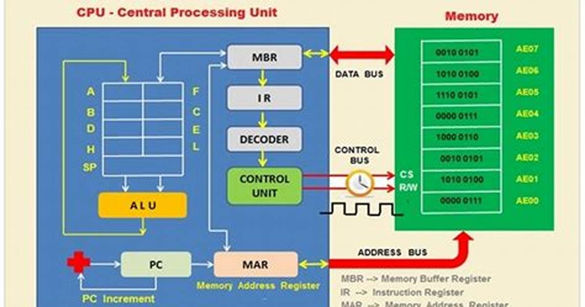 How Does the Cpu Work