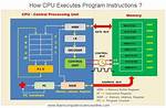 How Does the Cpu Work