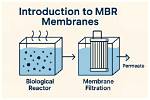 How Does the Mbr Work?