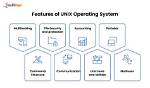 How Does the Unix Operating System Control Access to Files in a File System?