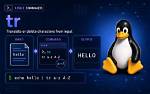 How Does Tr Work in Linux?